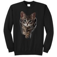 Brown Kitten Staring Cute TShirt Cats Gift Sweatshirt