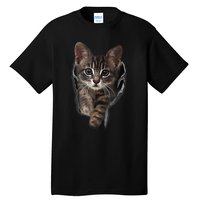 Brown Kitten Staring Cute TShirt Cats Gift Tall T-Shirt