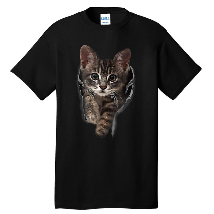 Brown Kitten Staring Cute TShirt Cats Gift Tall T-Shirt