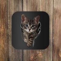 Brown Kitten Staring Cute TShirt Cats Gift Coaster