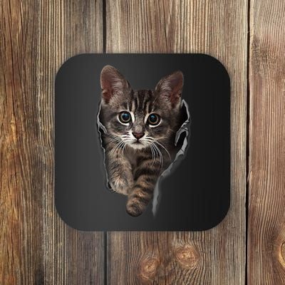 Brown Kitten Staring Cute TShirt Cats Gift Coaster