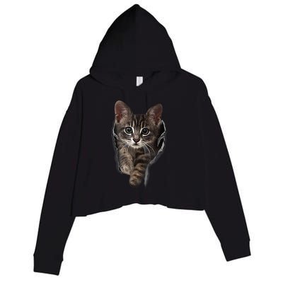 Brown Kitten Staring Cute TShirt Cats Gift Crop Fleece Hoodie
