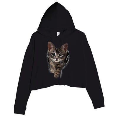 Brown Kitten Staring Cute TShirt Cats Gift Crop Fleece Hoodie