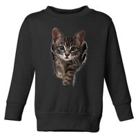 Brown Kitten Staring Cute TShirt Cats Gift Toddler Sweatshirt