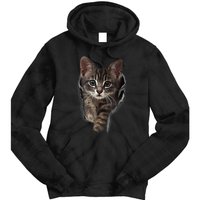 Brown Kitten Staring Cute TShirt Cats Gift Tie Dye Hoodie