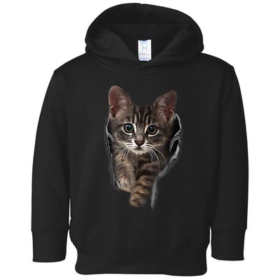 Brown Kitten Staring Cute TShirt Cats Gift Toddler Hoodie