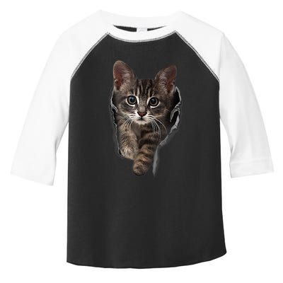 Brown Kitten Staring Cute TShirt Cats Gift Toddler Fine Jersey T-Shirt