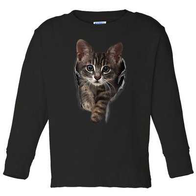 Brown Kitten Staring Cute TShirt Cats Gift Toddler Long Sleeve Shirt