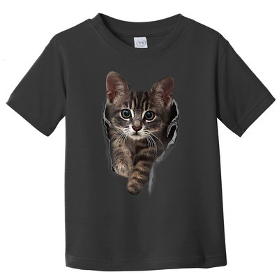 Brown Kitten Staring Cute TShirt Cats Gift Toddler T-Shirt