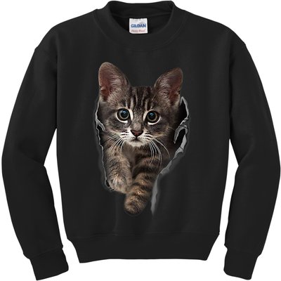 Brown Kitten Staring Cute TShirt Cats Gift Kids Sweatshirt