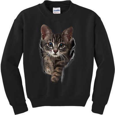 Brown Kitten Staring Cute TShirt Cats Gift Kids Sweatshirt