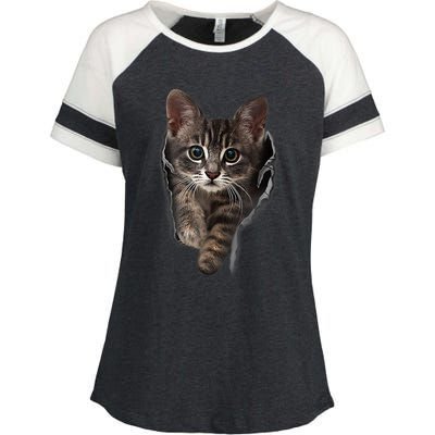 Brown Kitten Staring Cute TShirt Cats Gift Enza Ladies Jersey Colorblock Tee