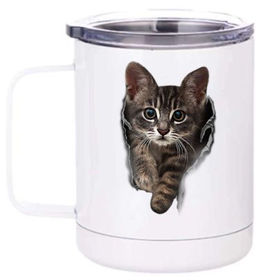 Brown Kitten Staring Cute TShirt Cats Gift 12 oz Stainless Steel Tumbler Cup