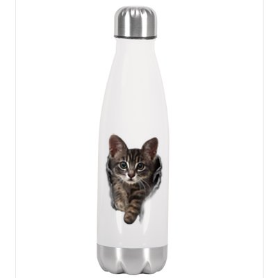 Brown Kitten Staring Cute TShirt Cats Gift Stainless Steel Insulated Water Bottle