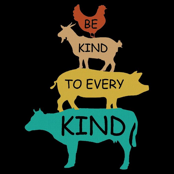 Be Kind To Every Kind Retro Vintage Funny Vegetarian Vegan Button