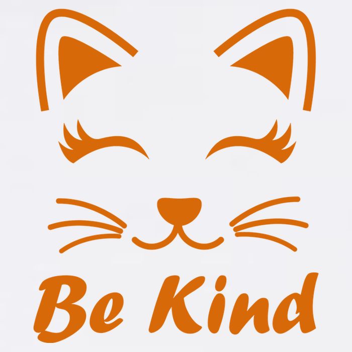 Be Kind Unity Day Orange Anti Bullying Kitten Full Zip Hoodie