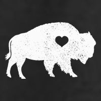 Bison Lover American Buffalo National Park Souvenir 7 Panel Mesh Trucker Snapback Hat