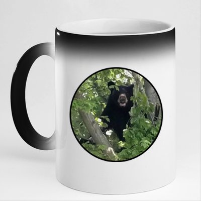 Black Bear Wilderness 11oz Black Color Changing Mug