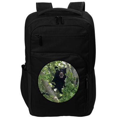 Black Bear Wilderness Impact Tech Backpack