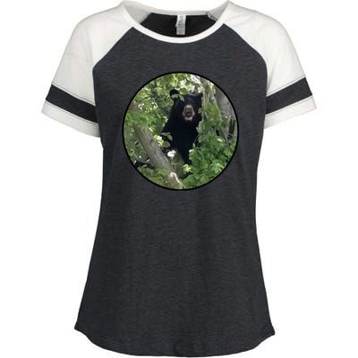 Black Bear Wilderness Enza Ladies Jersey Colorblock Tee