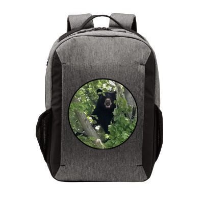 Black Bear Wilderness Vector Backpack