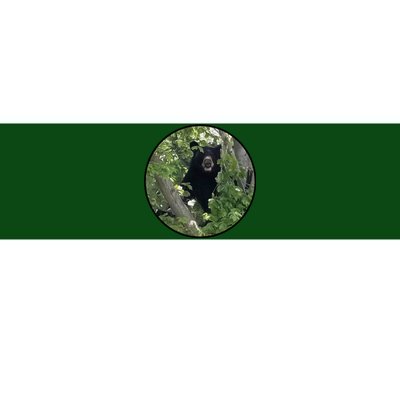 Black Bear Wilderness Bumper Sticker