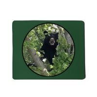 Black Bear Wilderness Mousepad