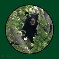 Black Bear Wilderness Womens T-Shirt