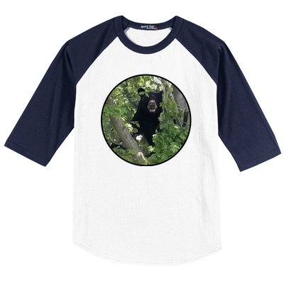 Black Bear Wilderness Baseball Sleeve Shirt