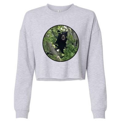 Black Bear Wilderness Cropped Pullover Crew