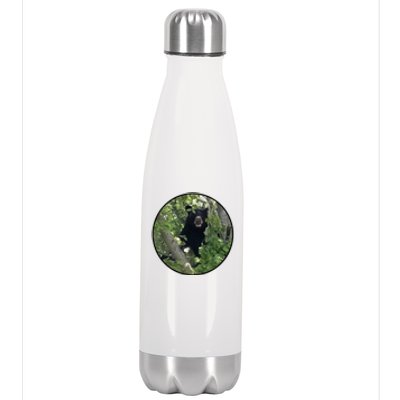 Black Bear Wilderness Stainless Steel Insulated Water Bottle