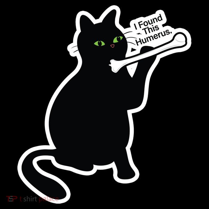Black Cat I Found This Humerus Funny Impact Tech Backpack