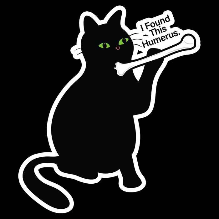 Black Cat I Found This Humerus Funny Cooling Performance Long Sleeve Crew