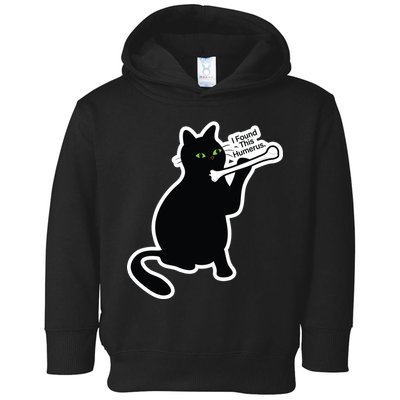 Black Cat I Found This Humerus Funny Toddler Hoodie