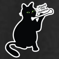Black Cat I Found This Humerus Funny Golf Towel