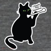 Black Cat I Found This Humerus Funny Button