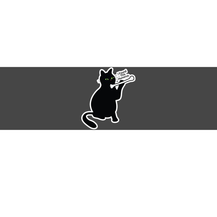 Black Cat I Found This Humerus Funny Bumper Sticker