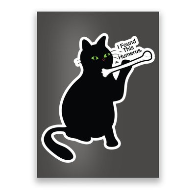 Black Cat I Found This Humerus Funny Poster
