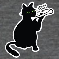 Black Cat I Found This Humerus Funny Baby Bodysuit