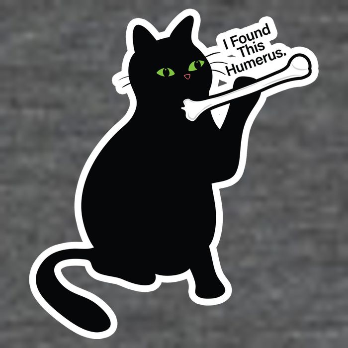 Black Cat I Found This Humerus Funny Baby Bodysuit