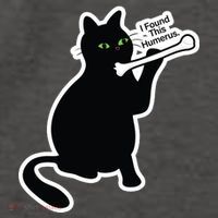 Black Cat I Found This Humerus Funny Vector Backpack