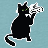 Black Cat I Found This Humerus Funny Sueded Cloud Jersey T-Shirt