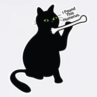 Black Cat I Found This Humerus Funny Garment-Dyed Sweatshirt