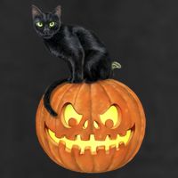 Black Cat Jack O' Lantern Pumpkin 7 Panel Mesh Trucker Snapback Hat