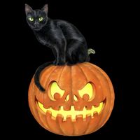 Black Cat Jack O' Lantern Pumpkin Zip Tote Bag