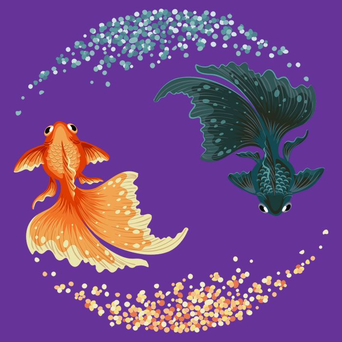 Black Goldfish T-Shirt