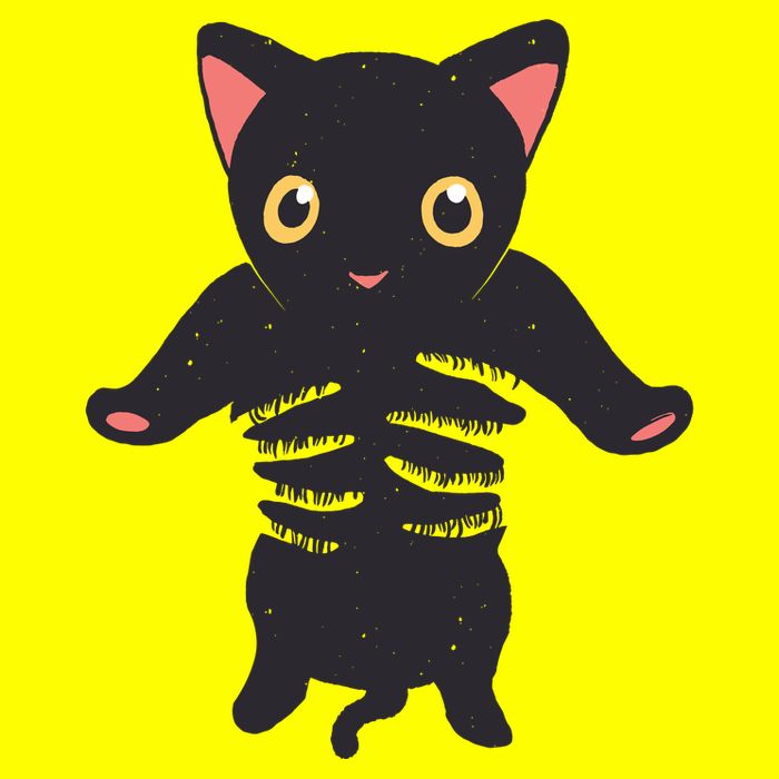 Black Kitty Being Held Button