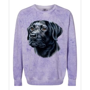 Black Lab Colorblast Crewneck Sweatshirt