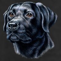Black Lab 15oz Campfire Ceramic Mug