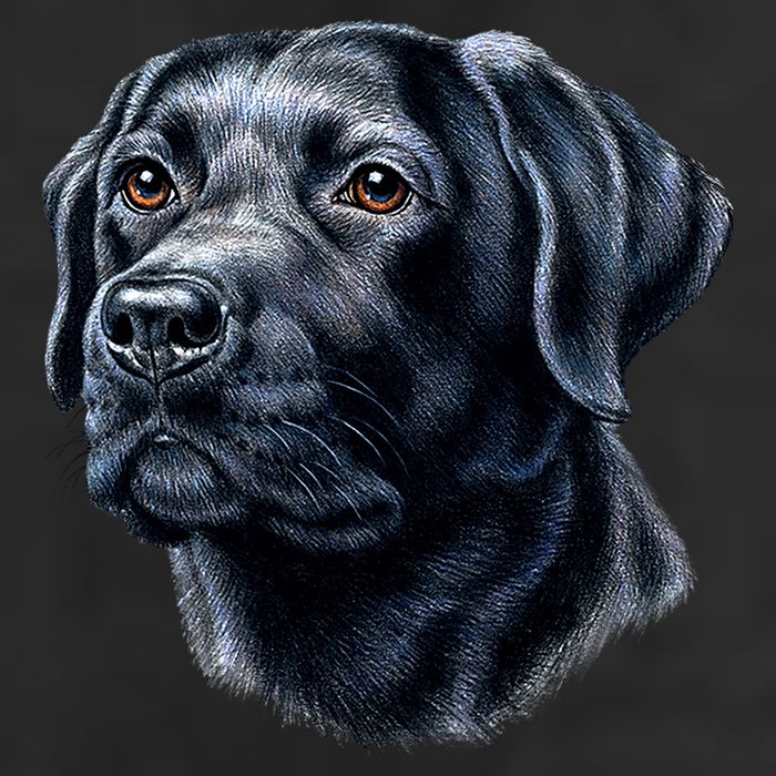 Black Lab 15oz Campfire Ceramic Mug